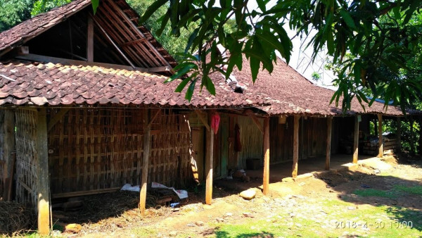 Pendataan Rumah Tidak Layak Huni(RTLH)di Kampung KB Dk.Suruhan  Untuk di ajukan Bantuan Ke Propinsi