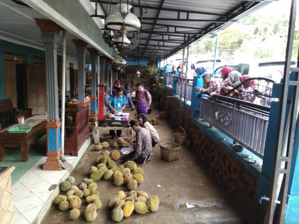 Study Banding Ke Kampung Durian Yang di danai oleh Alokasi Dana Desa