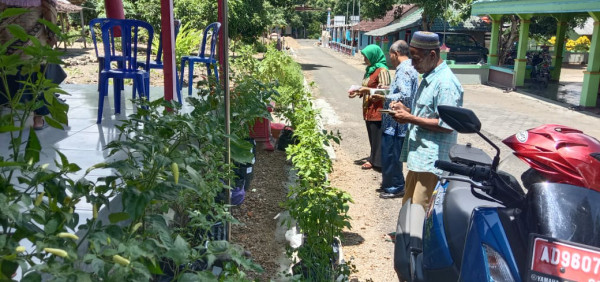 Penilaian lomba pemanfaatan lahan pekarangan