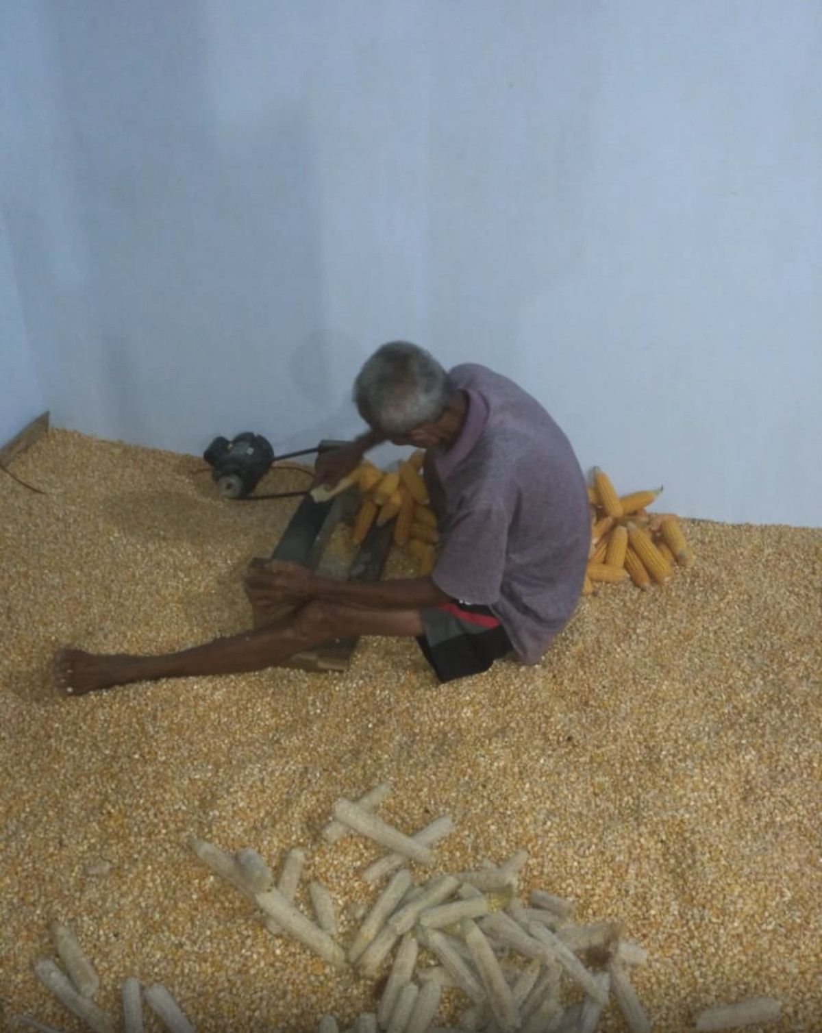 Pipik jagung dengan alat modern