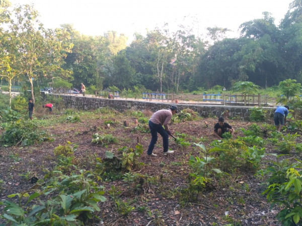 persiapan penanaman