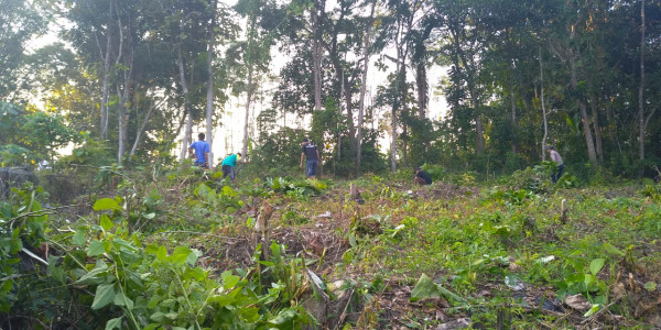 lahan yang akan dipergunakan