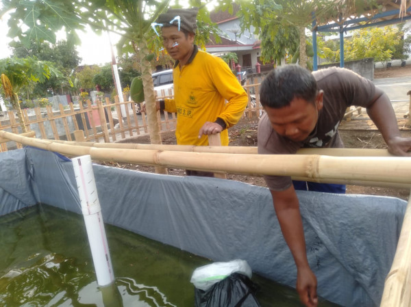 pengecekan kolam