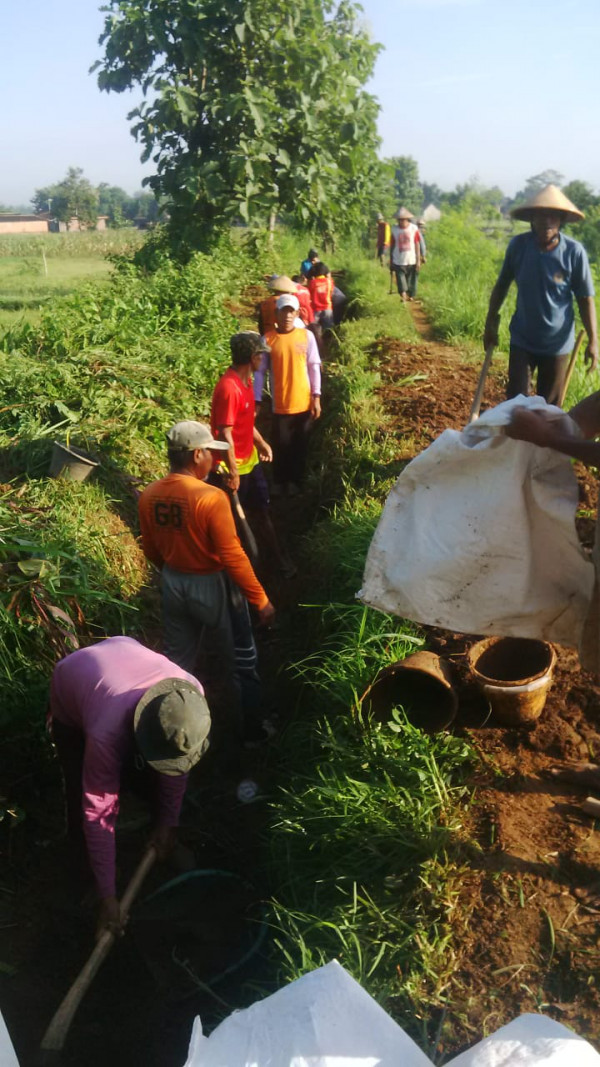 Letak tanggul dipinggir sawah