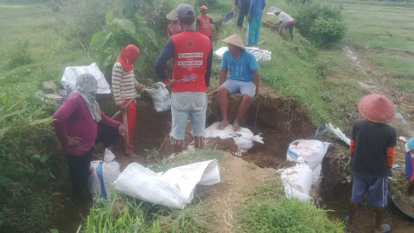 semangat gotong royong membendung tanggul yang bocor 