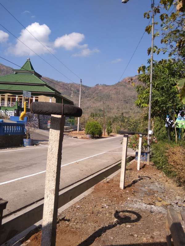 Perkembangan pemasangan patok buah naga