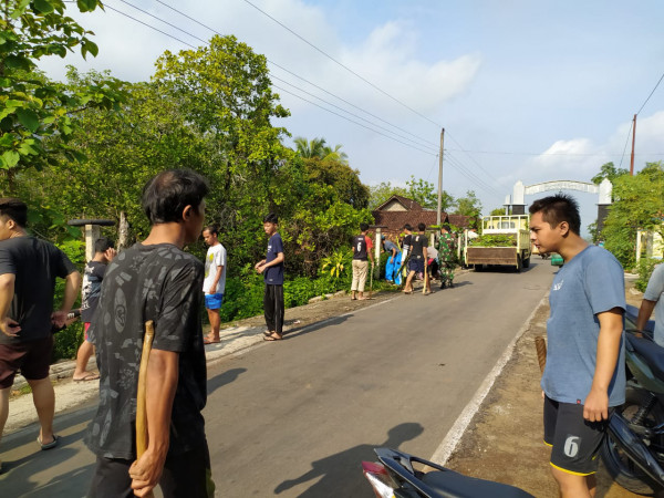 Tingkatkan produksi warga dengan penanaman buah naga di lingkungan kampung KB Berseri