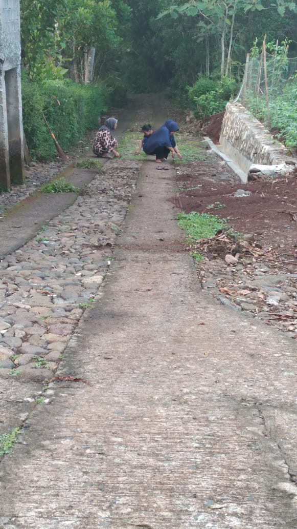 Mencabuti Rumput