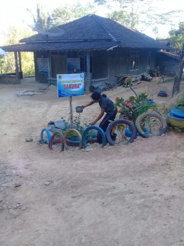 Perawatan taman di Gubuk Kampung KB Sakura
