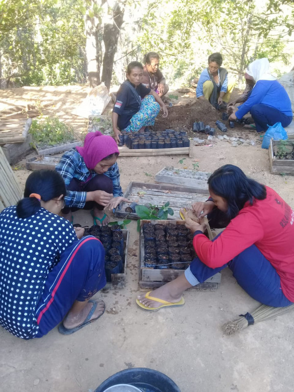 Pembuatan bibit tanaman sayuran di Kampung KB Sakura