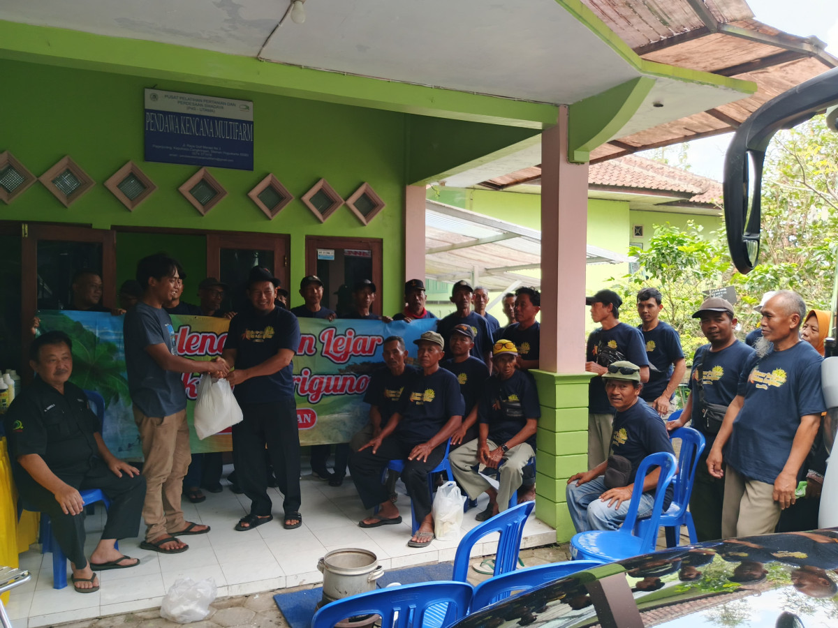 Study tiru Poktan Sariguna Krikilan dengan CV. Pandawa Kencana Multifarm