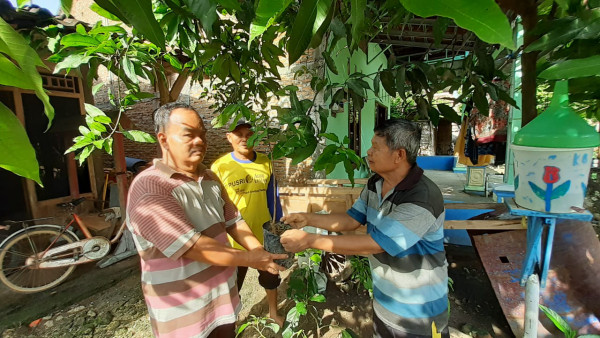 Penyerahan Pohon yang akan ditanam