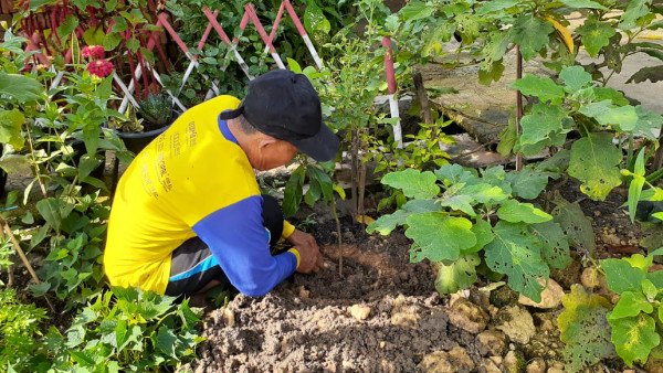 Menanan Pohon Avocad Dan Kelengkeng Di Kampung KB Dsn Sileman