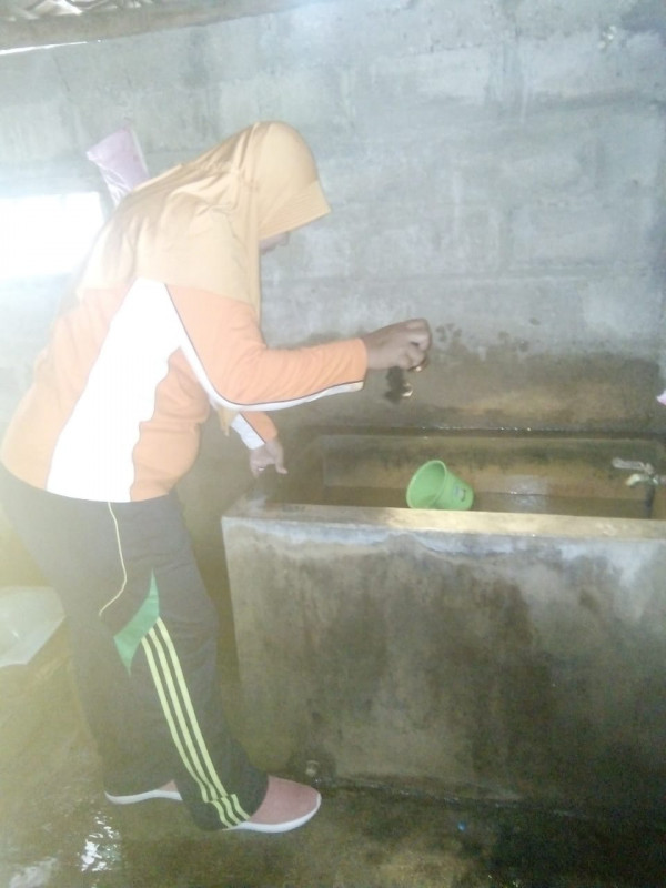 Memantau jentik di bak mandi