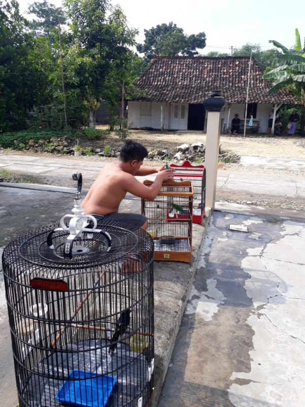 Warga membersihkan tempat minum burung