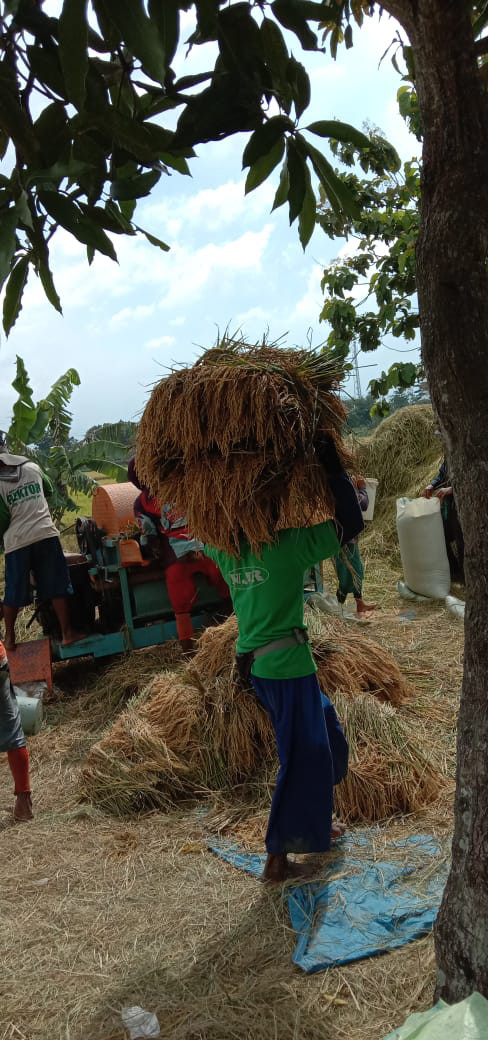 ALHAMDULILLAH, PARIKU MULIH...