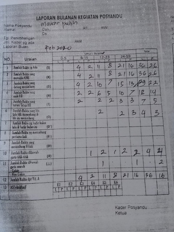 laporan bulanan kegiatan posyandu