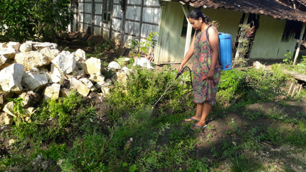 Nyemprot sekalian berjemur