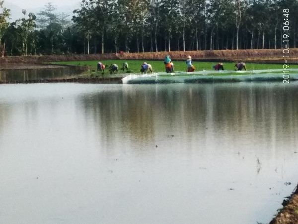 hati senang air melimpah petani hidup tenang