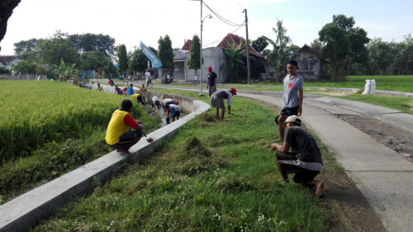 rumput ilalang tepi jalan sikat habis