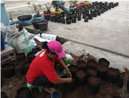 TOGA TANPA LAHAN DAN CANGKUL