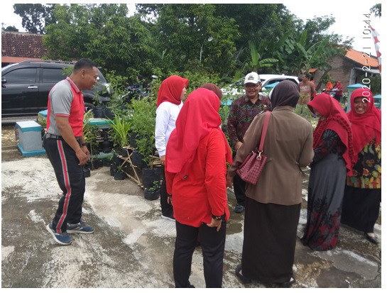 bu,,milih cobain cabenya apa tomatnya,,,siapa tau penasaran sayur organik