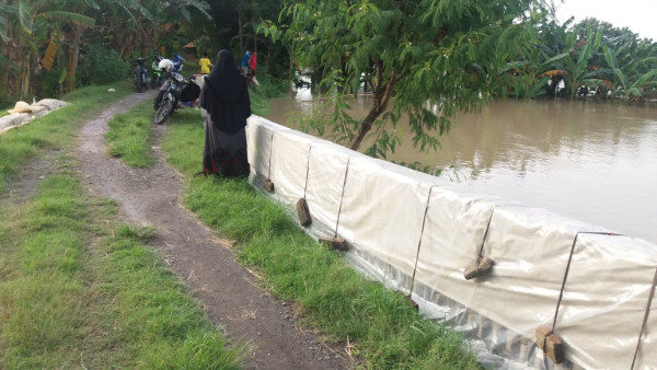 si ibu sudah menunggui ikan segera mau di pecel nila nya