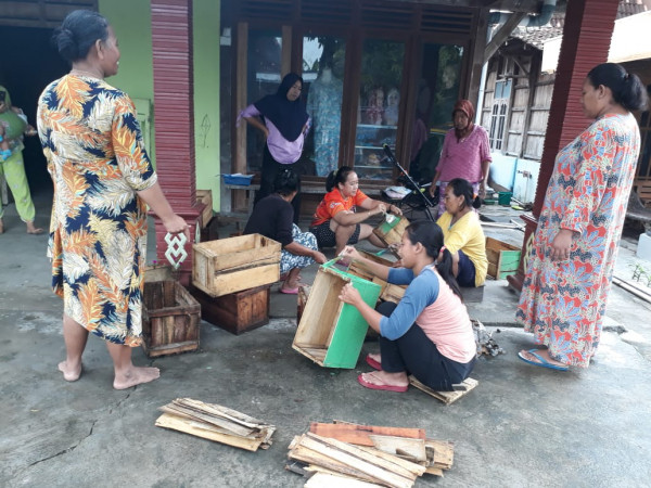 KOTAK WADAH  BUAH MENJADI SASARAN