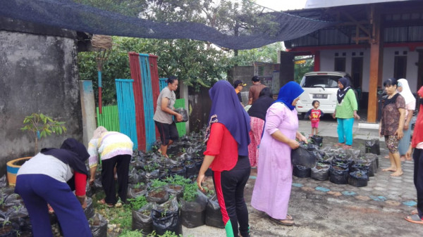 ada ratusan  toga dan bunga siap menghias taman TATBUGA