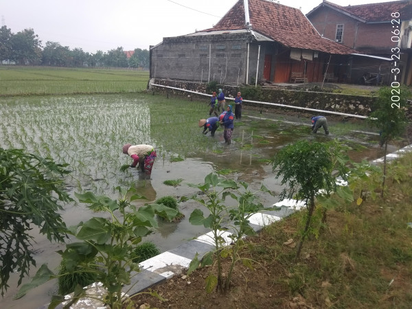 JAGA KESEHATAN LO BU BIAR TETAP SEHAT DAN KUAT