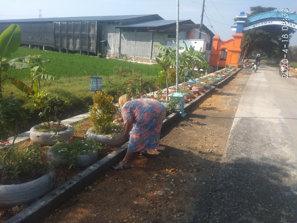 NGAMUK,,TAMAN SEWU BAN DIBONGKAR