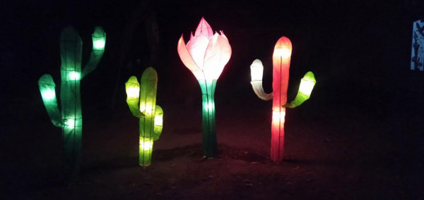 Lampu Pohon Kaktus