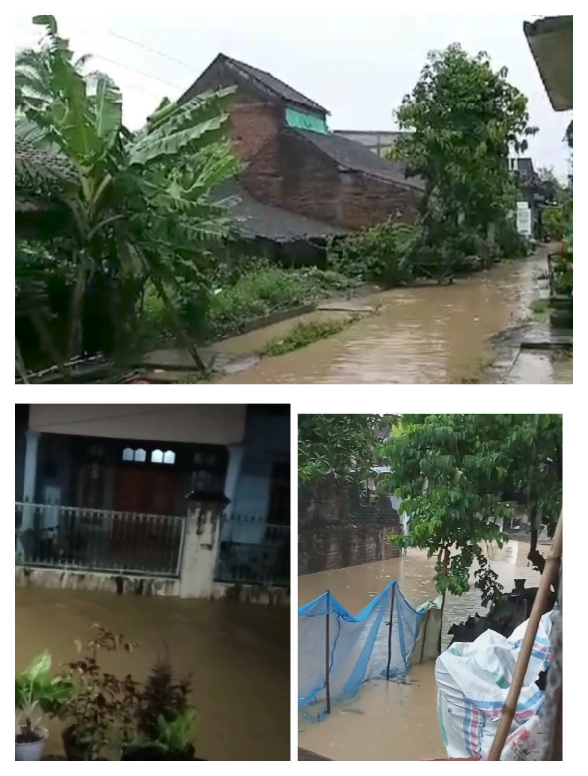 Banjir di wilayah desa klambu
