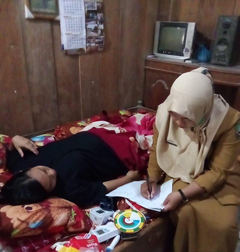 pengecekan kesehatan pada ibu pasca persalinan