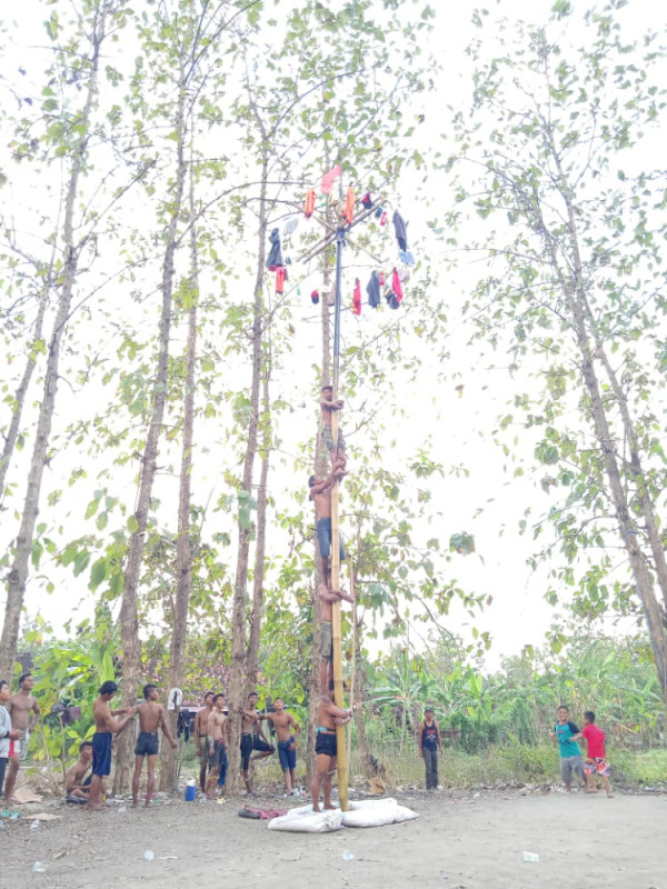 Lomba Panjat Pinang