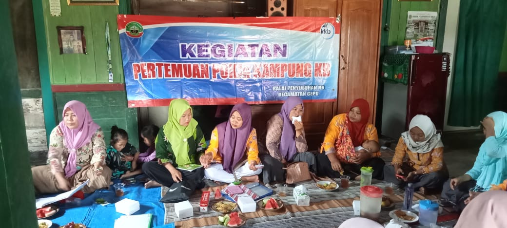 Kegiatan Pokja Kampung KB