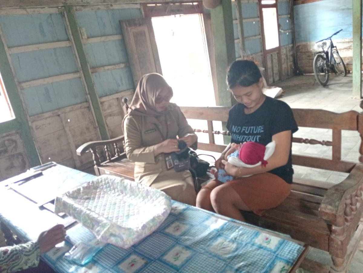 Pendampingan Ibu Pasca Salin TPK