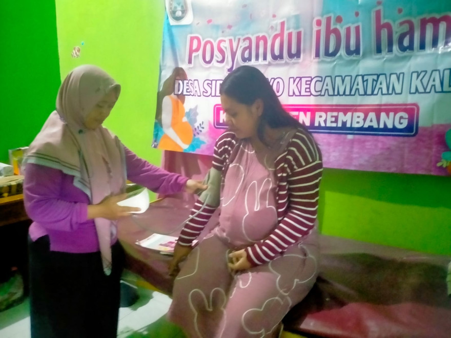 POSYANDU IBU HAMIL