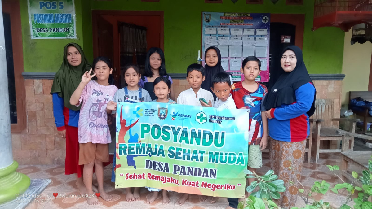Posyandu remaja