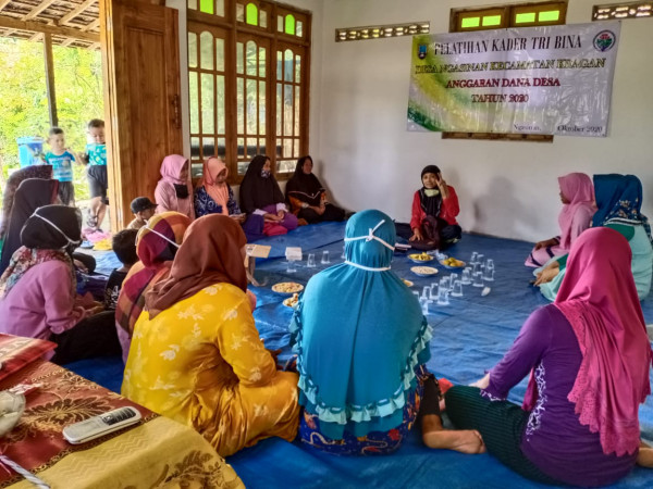 Penyuluhan kader tribina