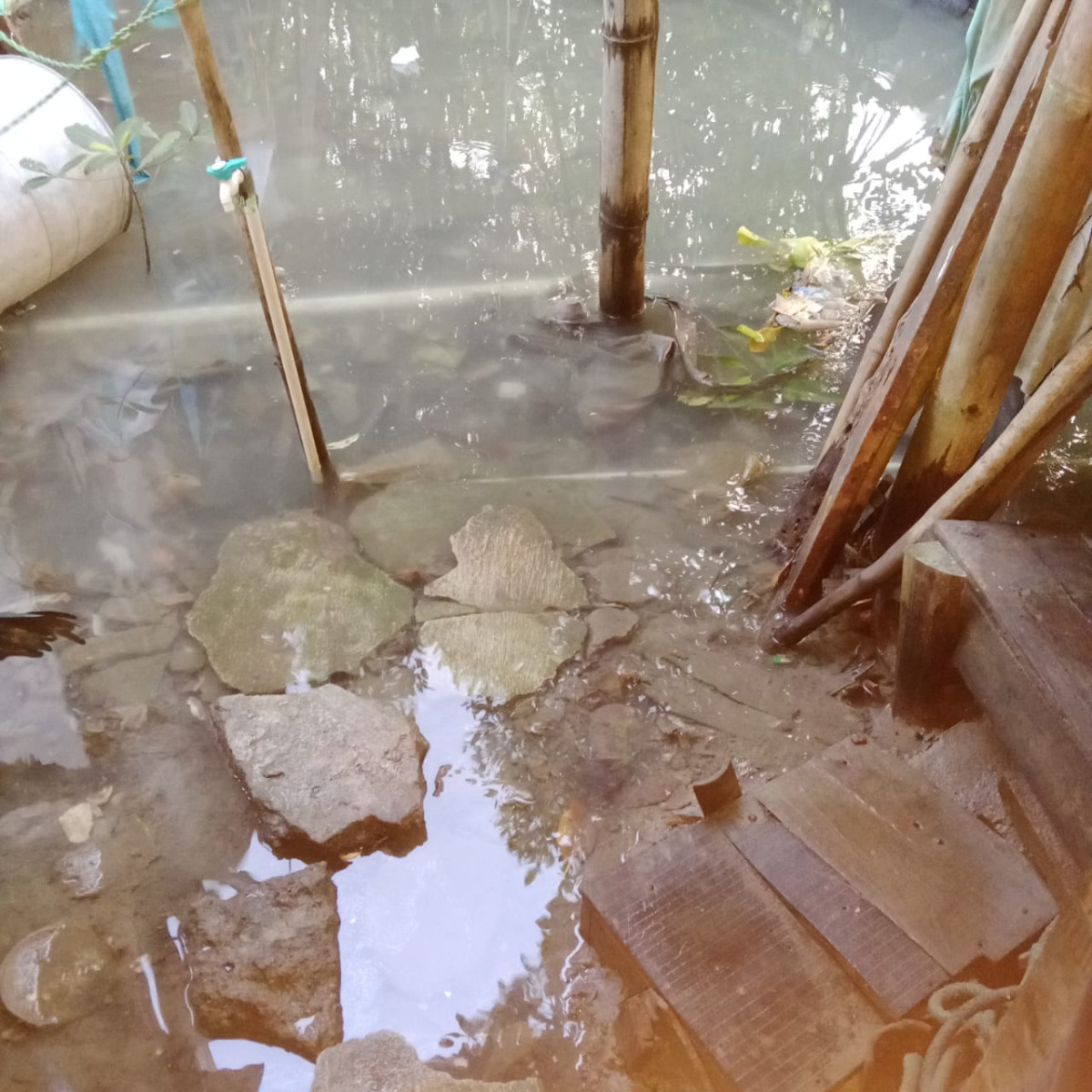 halaman rumah warga sudah tinggi