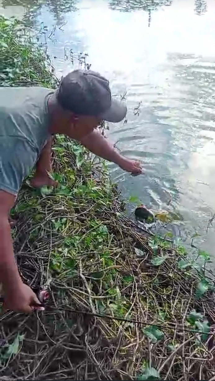 Memancing ikan patin