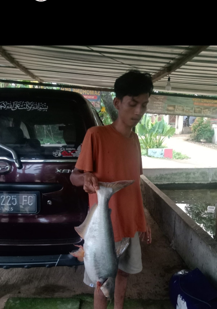 Memancing ikan