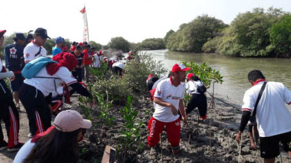 Bakti Sosial Penanaman Mangrove