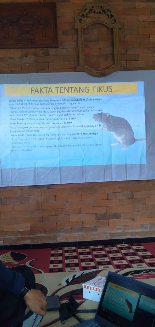 Penyuluhan Leptospirosis (Virus Tikus)