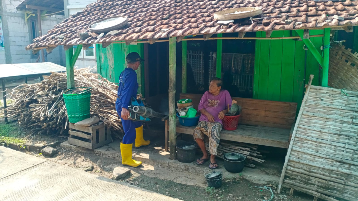 Petugas penyemprotan nyamuk dari Dinas