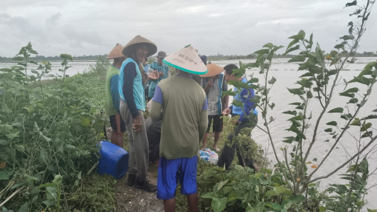 kegiatan menanggulangi kebocoran pintu air irigasi Persawahan