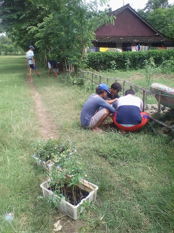 Menanam pohon di lapangan yang belum terdapat pohon