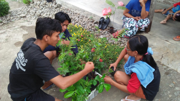 Persiapan pembagian bibit pohon