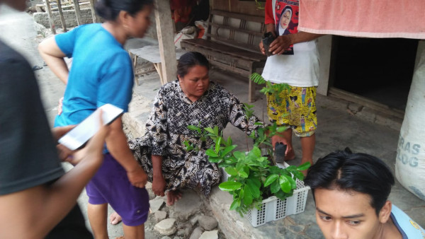 Warga memilih bibit pohon